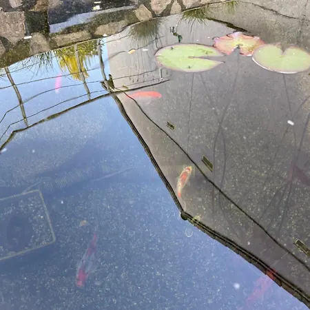 아파트 Wohnen Am Rande Des Schwarzwaldes *